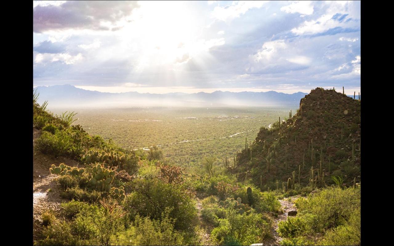 Casa Tierra Adobe Bed & Breakfast Авра-Велли Экстерьер фото